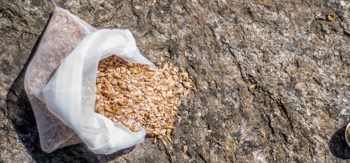 Vad blir det för malt?